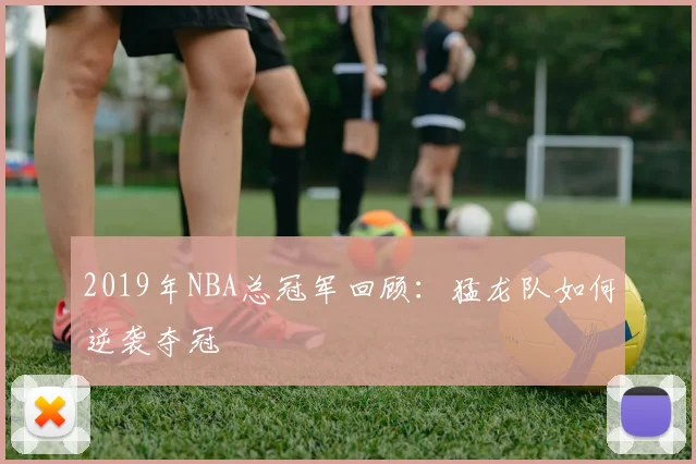2019年NBA总冠军回顾:猛龙队如何逆袭夺冠