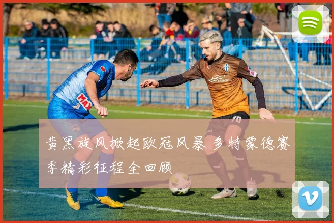 黄黑旋风掀起欧冠风暴 多特蒙德赛季精彩征程全回顾