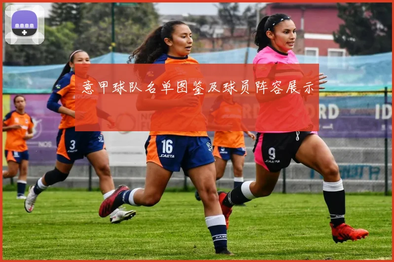 意甲球队名单图鉴及球员阵容展示