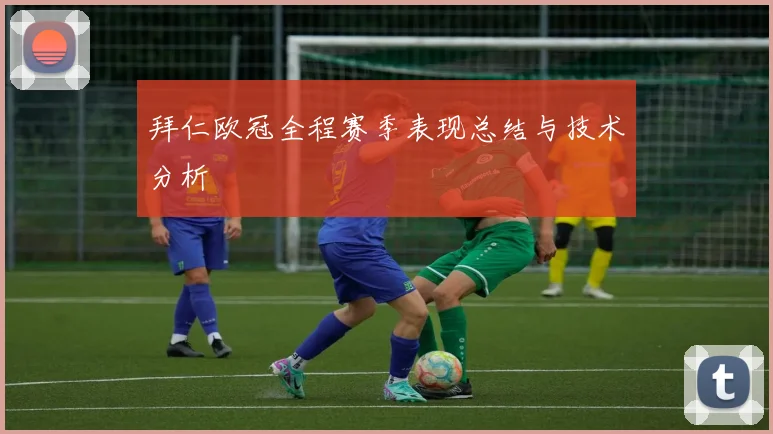 拜仁欧冠全程赛季表现总结与技术分析