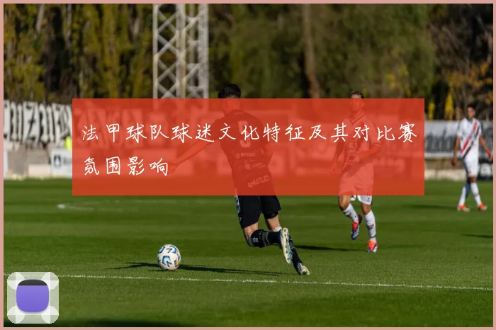 法甲球队球迷文化特征及其对比赛氛围影响