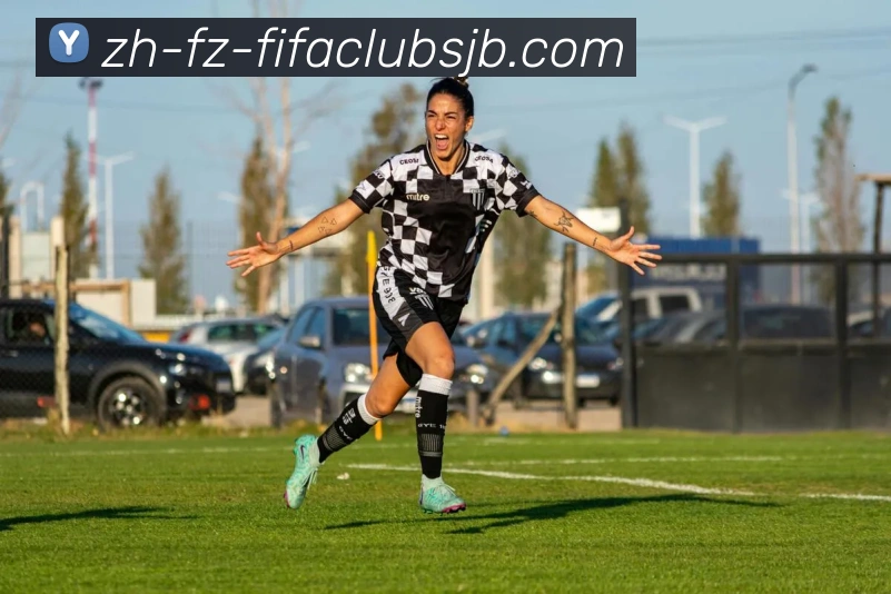 世界杯赛程平台生态图