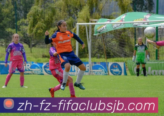 世界杯赛程全站App